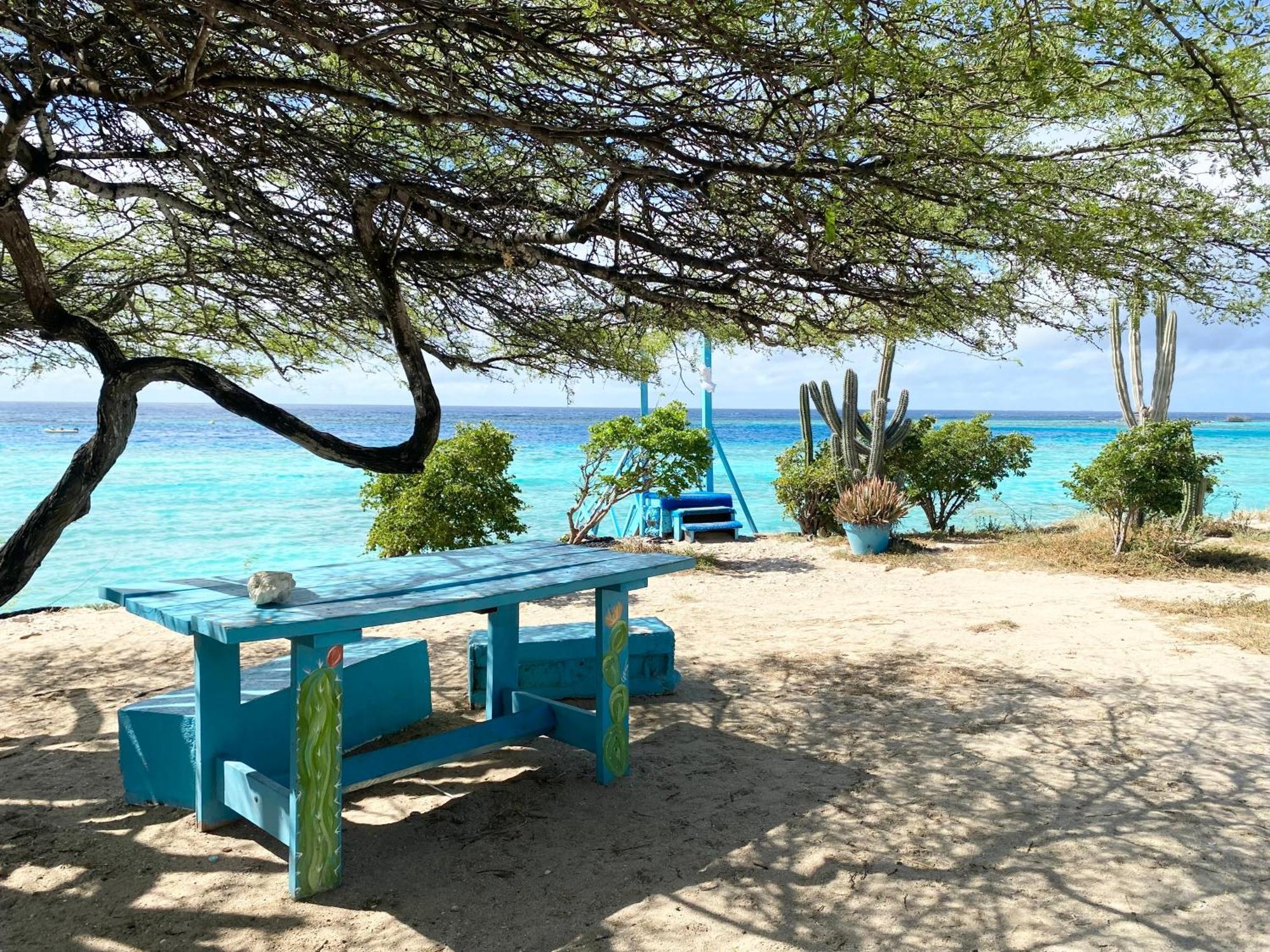 Villa Casa Azure Aruba Palm Beach Esterno foto